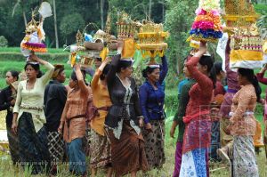 Offerings for Cremation 119 10 wm.jpg